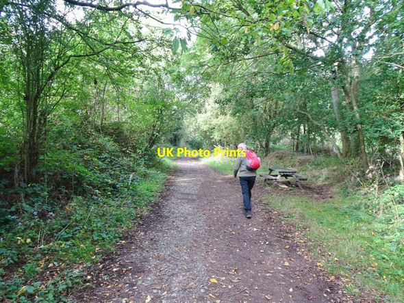 Photo 6"x4" October Walk Orton\/SO8695 c2019