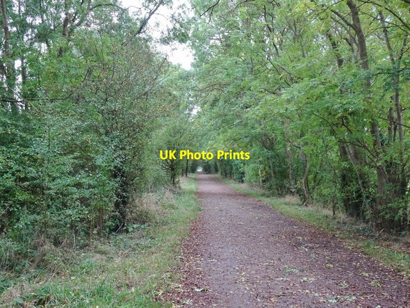 Photo 6"x4" October Walk View Orton\/SO8695 c2019