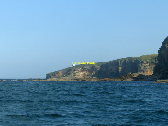 Photo 6"x4" Sandstone cliffs along the Moray Coast Covesea c2019
