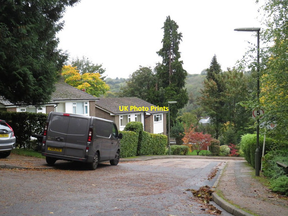 Photo 6"x4" Bradenhurst Close, Caterham Caterham c2019