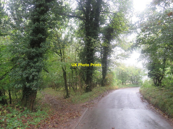 Photo 6"x4" Gangers Hill, near Godstone Tyler's Green\/TQ3552 c2019