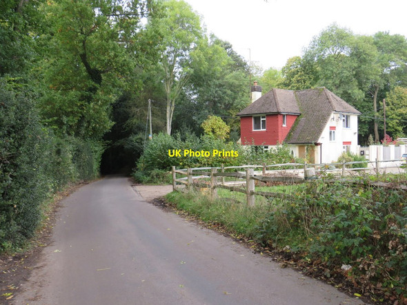 Photo 6"x4" Nash Lane, near Keston Nash\/TQ4063 c2019
