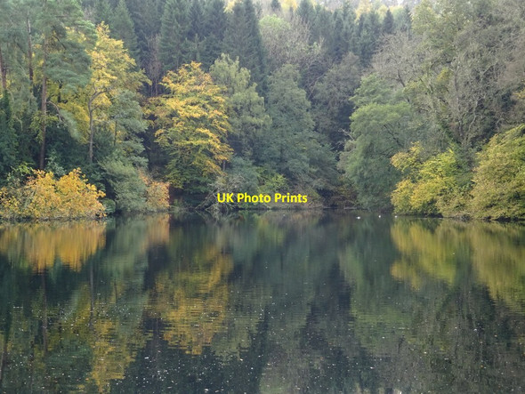 Photo 6"x4" Reflections in Parkmill Pond Nailsworth c2019