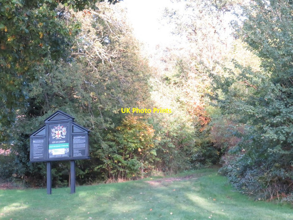 Photo 6"x4" West Wickham Common, near Hayes Coney Hall\/TQ3964 c2019