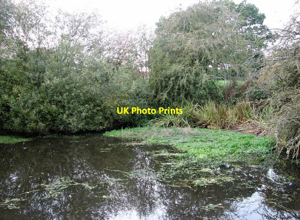 Photo 6"x4" Pond adjacent to the Poringland Community Centre Poringland c2019