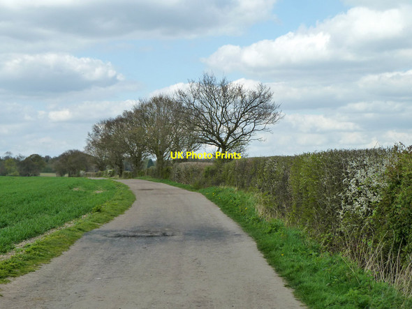 Photo 6"x4" Farm track and bridleway towards Hutton Hall Ingrave c2013