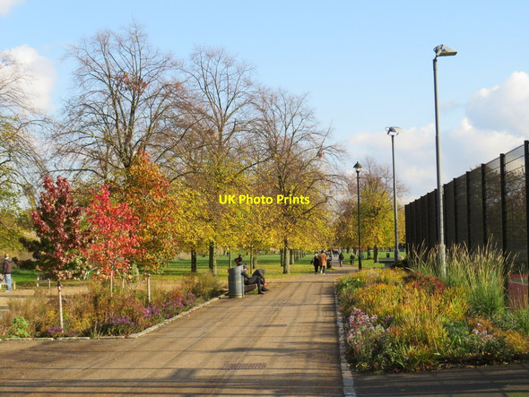 Photo 6"x4" Autumn in Burgess Park Camberwell c2019