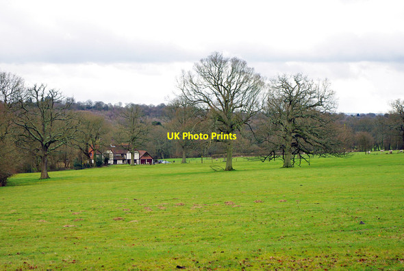 Photo 6"x4" Parkland, Broadhurst Manor Cinder Hill\/TQ3729 c2010