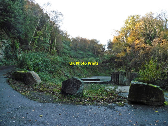 Photo 6"x4" Conygar Quarry (Disused) Norton's Wood\/ST4372 c2019