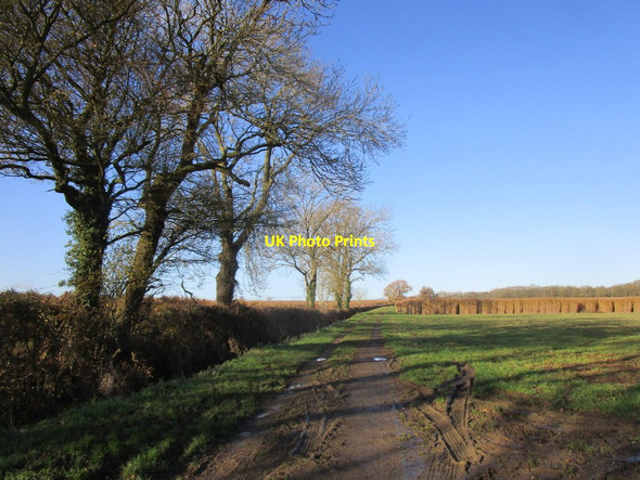 Photo 6"x4" Bridleway to Short Wood Oundle c2019