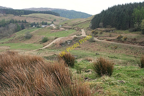 Photo 6"x4" Arduaine Farm Arduaine c2009
