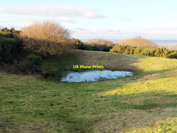 Photo 6"x4" Pond, South Downs Pyecombe c2019 P1