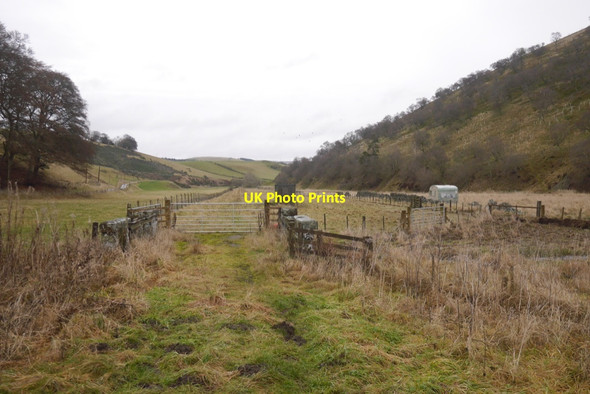 Photo 6"x4" Trackbed, Lauder Light Railway Oxton\/NT4953 c2019