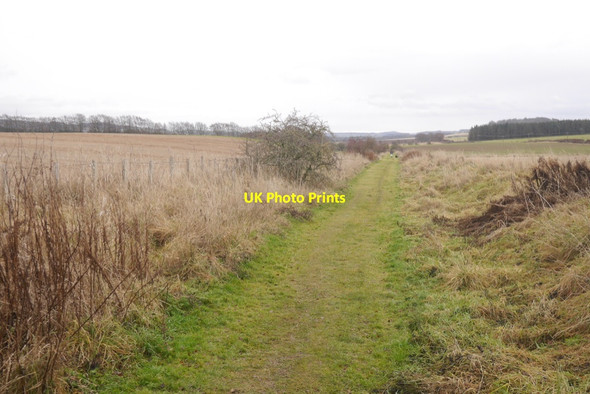 Photo 6"x4" Trackbed,  Lauder Light Railway Oxton\/NT4953 c2019