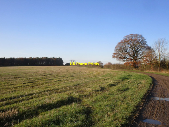 Photo 6"x4" Bridleway near Stoke Doyle Oundle c2019