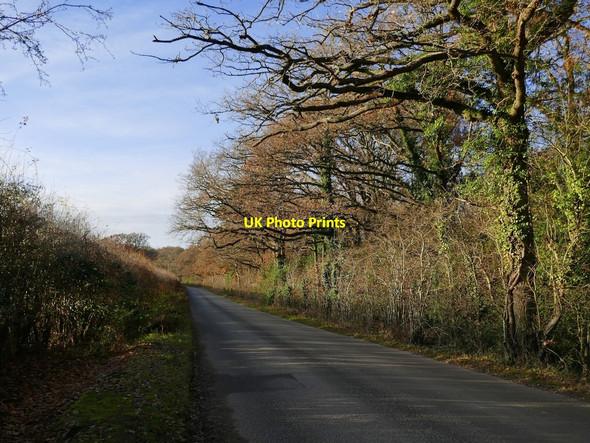 Photo 6"x4" Minor road near Whitehouse Farm, early December Hook\/SU7254 c2019