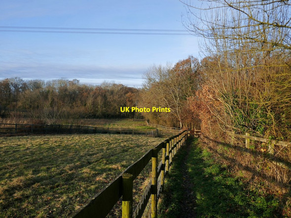 Photo 6"x4" Footpath leading north from Poplars Farm Lyde Green\/SU7057 c2019
