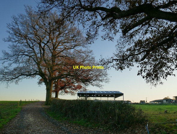 Photo 6"x4" Farmland near Lyde Green Farm Lyde Green\/SU7057 c2019