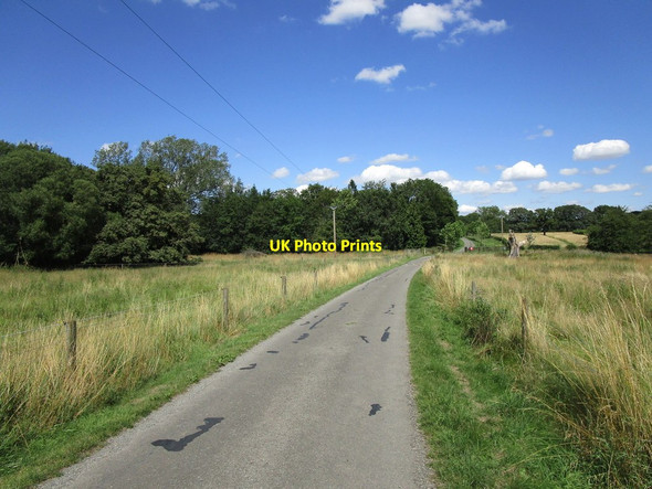 Photo 6"x4" Bridleway through the Deer Park, Fermyn Woods Hall Brigstock c2019