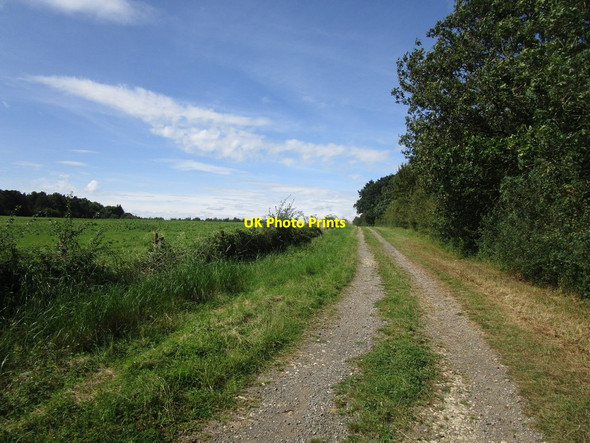 Photo 6"x4" Bridleway and Wadenhoe Great and Little Woods Wadenhoe c2019