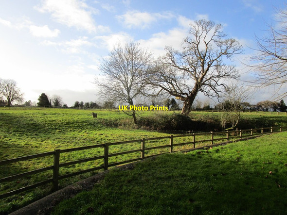Photo 6"x4" Pond by the churchyard, Thorpe Mandeville Thorpe Mandeville c2019