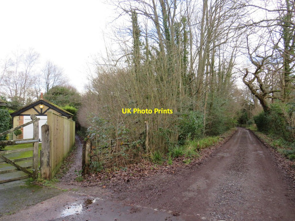 Photo 6"x4" Wadlands Brook Road, near East Grinstead East Grinstead c2019