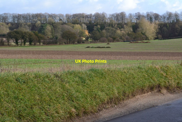 Photo 6"x4" Fields south of Weston Colley Hunton\/SU4839 c2019