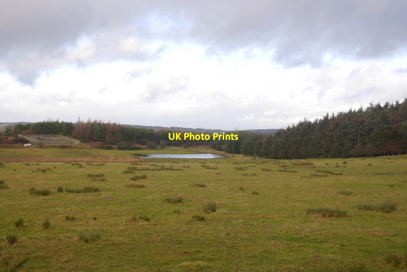 Photo 6"x4" Site of Colinshiel Coal Works Armadale\/NS9368 c2019