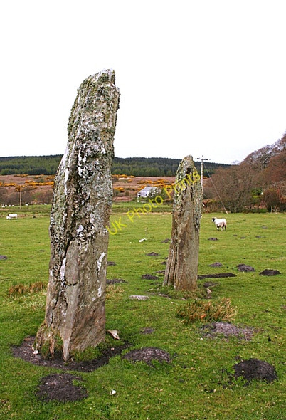 Photo 6"x4" Standing Stones at Carse Carse Ho c2009