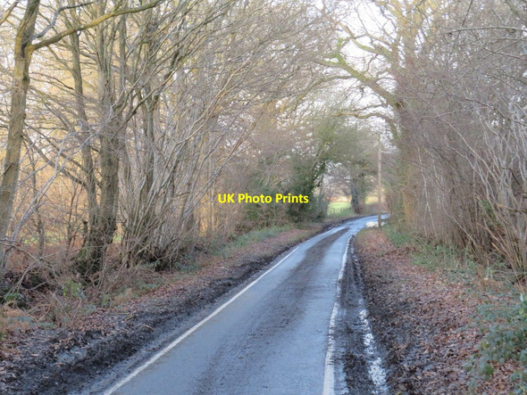 Photo 6"x4" St. Pier's Lane, near Lingfield Dormansland c2019