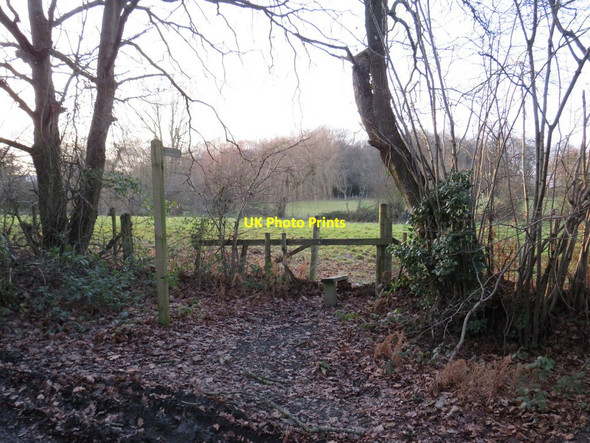 Photo 6"x4" Footpath into a field, near Lingfield Dormansland c2019