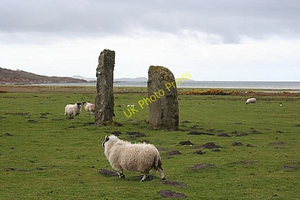 Photo 6"x4" Carse Standing Stones Carse Ho c2009