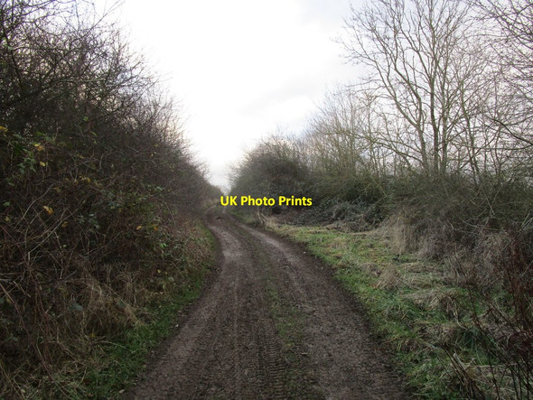 Photo 6"x4" Byway near Sewstern Sewstern c2020