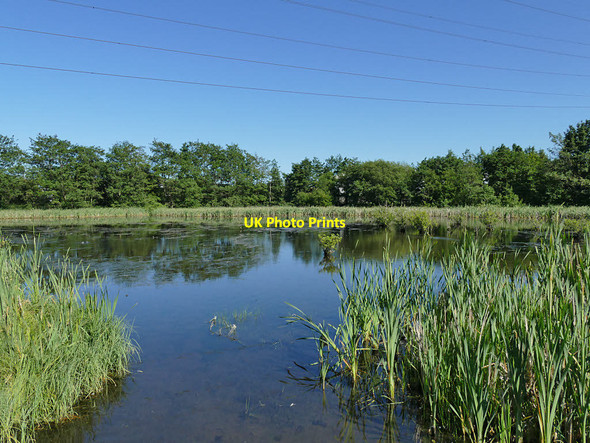 Photo 6"x4" Pond in Helix Park Falkirk c2019
