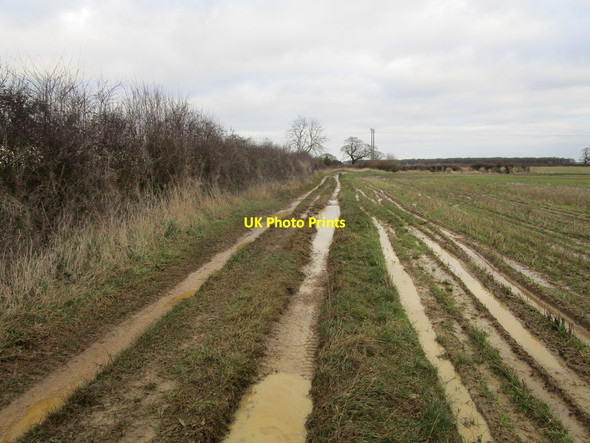 Photo 6"x4" Byway near Crown Point Farm Sewstern c2020