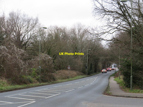 Photo 6"x4" Sutton Lane, Banstead Downs Banstead c2020