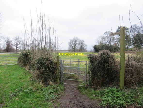 Photo 6"x4" Public footpath near Banstead Banstead c2020