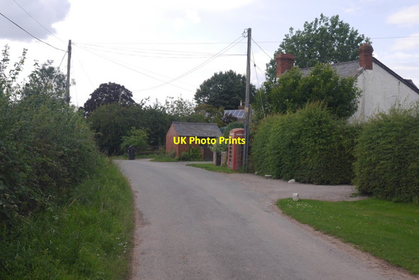 Photo 6"x4" Telephone box, Wynford Preston Marsh c2019