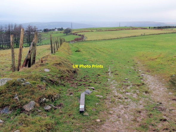 Photo 6"x4" Llwybr ceffyl Tirmynydd \/ Tirmynydd bridleway Neath\/Castell-Nedd c2020