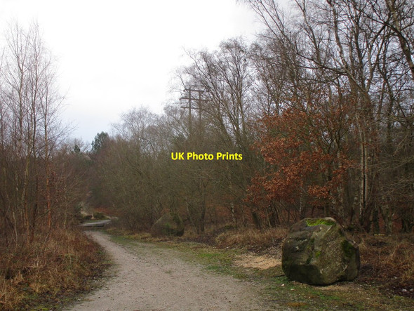 Photo 6"x4" Bridleway to Bilsthorpe Rainworth c2020