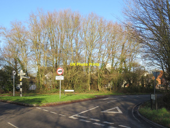 Photo 6"x4" Mountnessing Lane, Doddinghurst Doddinghurst c2020