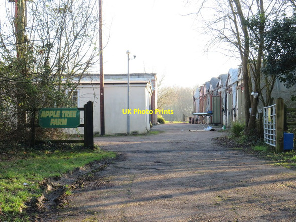 Photo 6"x4" Apple Tree Farm, near Doddinghurst Doddinghurst c2020