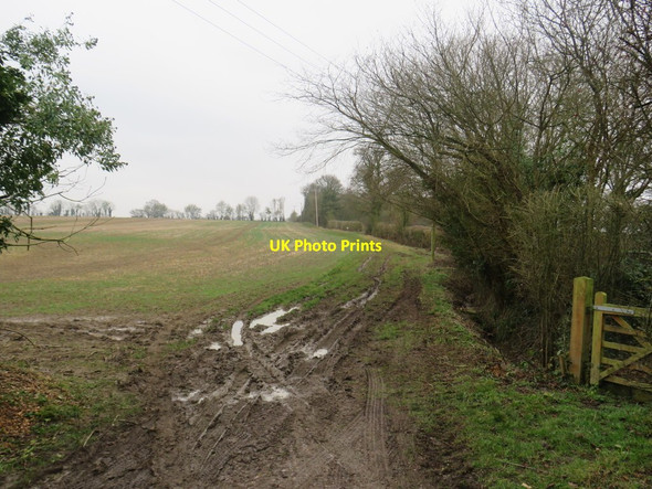 Photo 6"x4" Bridleway at Uppend, near Manuden Uppend c2020