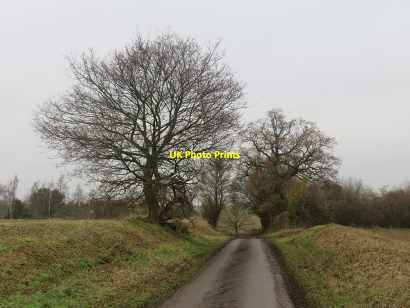 Photo 6"x4" Sheepcote Lane, near Manuden Maggots End c2020 P1