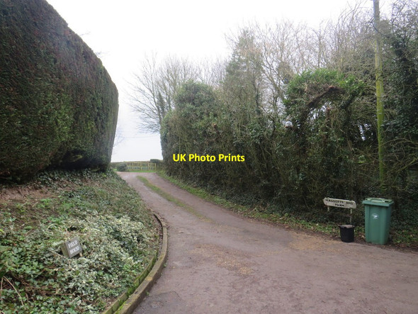 Photo 6"x4" Driveway to Maggotts End Farm, near Manuden Maggots End c2020