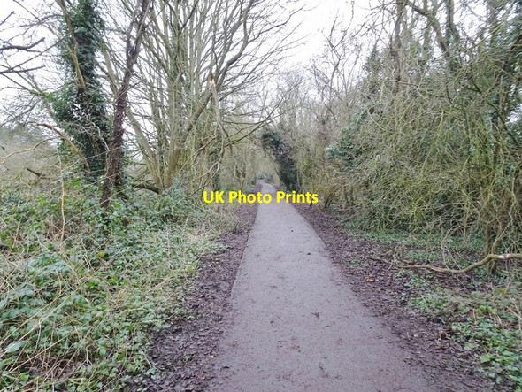 Photo 6"x4" Railway Track Compton\/SO8898 c2020