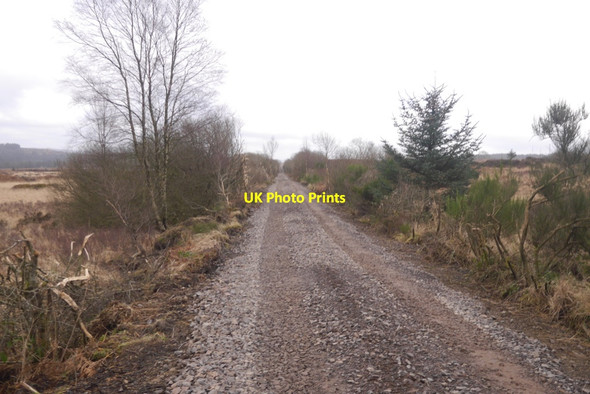 Photo 6"x4" Portpatrick and Wigtownshire Railway trackbed Mossdale\/NX6670 c2020 P1