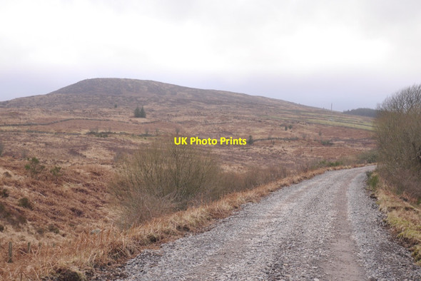 Photo 6"x4" Portpatrick and Wigtownshire Railway trackbed Mossdale\/NX6670 c2020 P1