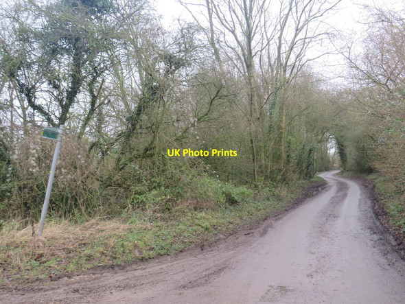 Photo 6"x4" Country lane near Furneux Pelham East End\/TL4527 c2020