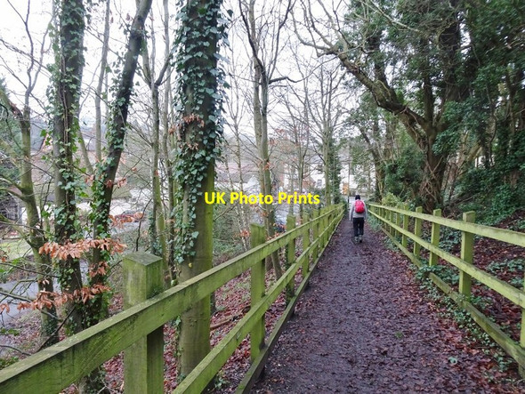 Photo 6"x4" Compton Path Compton\/SO8898 c2020